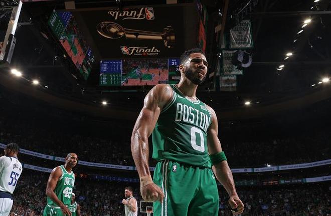 苏格兰高尔 苏格兰高尔