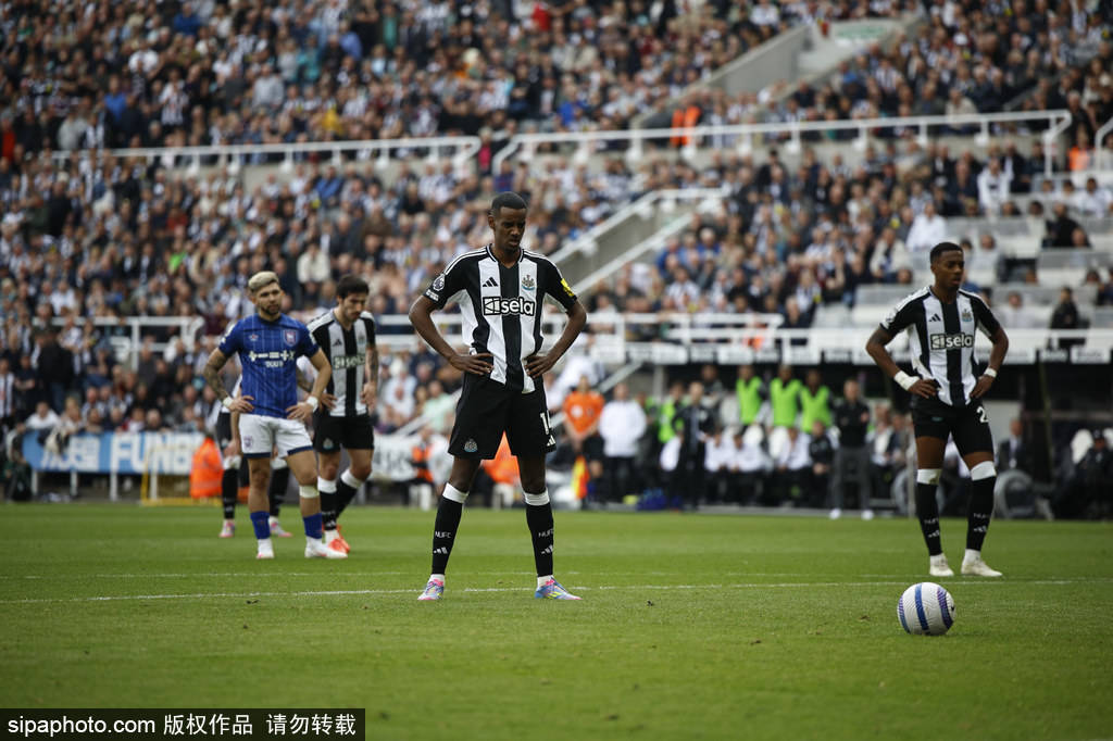 总冠军预定 总冠军预定